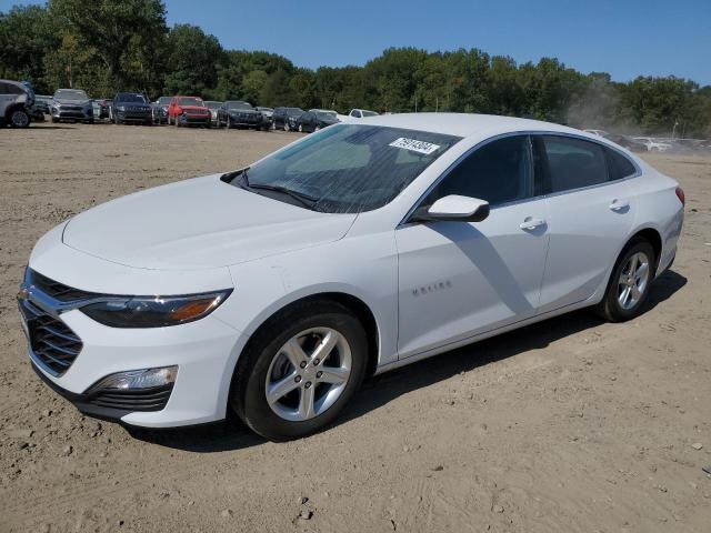 CHEVROLET MALIBU LS 2024 CHEVROLET MALIBU LS 2024