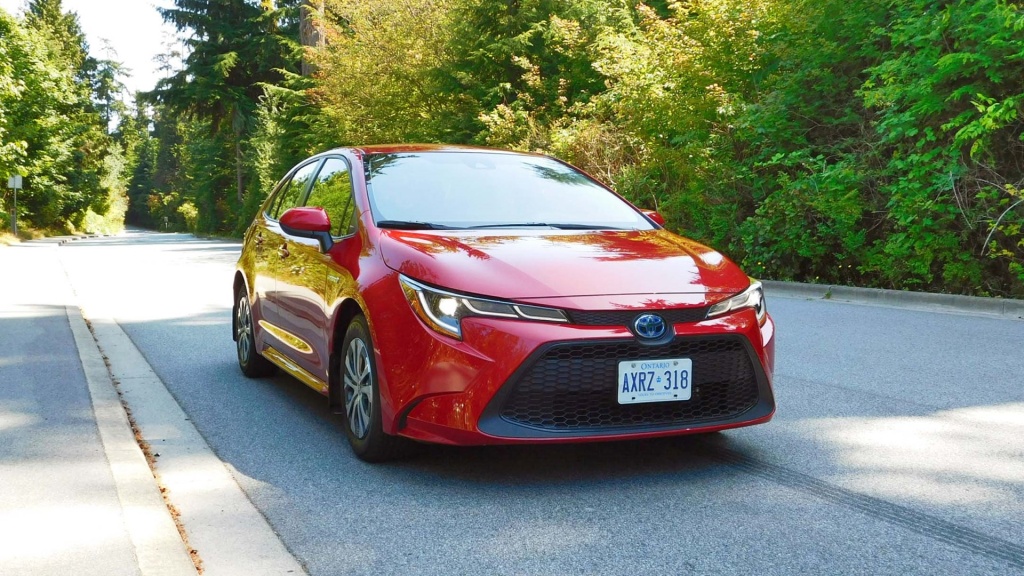 corolla.jpg