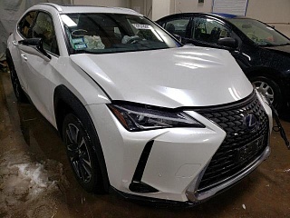 LEXUS UX 250H 2021