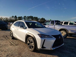 LEXUS UX 250H 2019