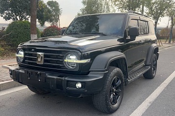 Tank 300 2021