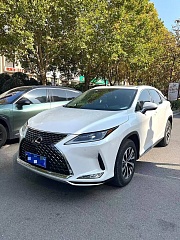 LEXUS RX 300 2020
