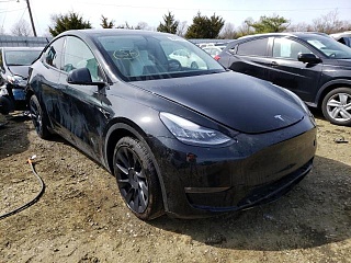 TESLA MODEL Y 2021