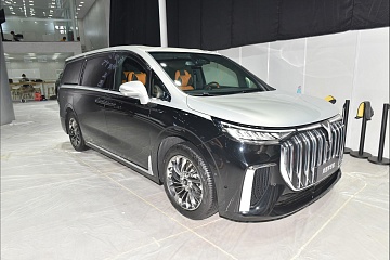 VOYAH Dreamer PHEV Low Carbon Private custom 