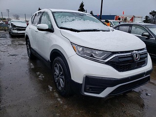 HONDA CR-V EX 2020