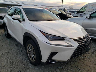 LEXUS NX 300 2019