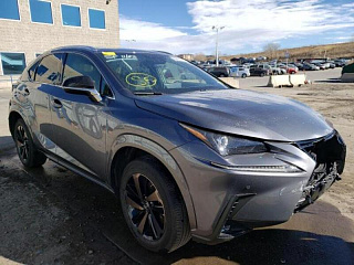 LEXUS NX 300 2019