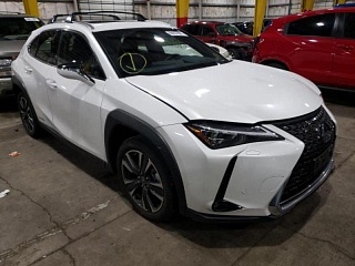 LEXUS UX 250H 2021