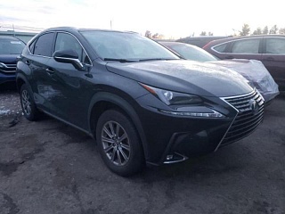 LEXUS NX 300 2019
