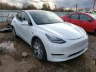 TESLA MODEL Y 2020