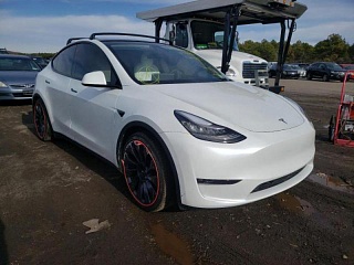 TESLA MODEL Y 2020