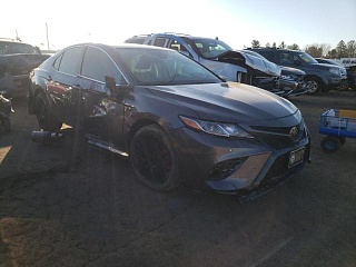 TOYOTA CAMRY L 2019
