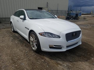Jaguar XJ R-SPORT 2019