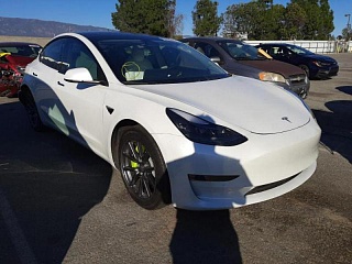 TESLA MODEL 3 2021 TESLA MODEL 3 2021