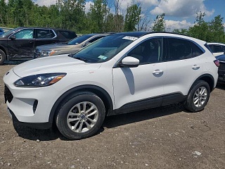 FORD ESCAPE SE 2020 FORD ESCAPE SE 2020