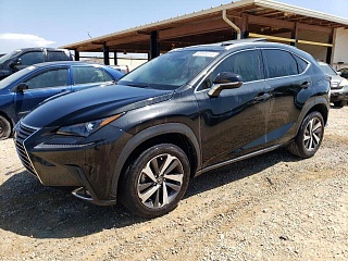 LEXUS NX 300 2019 LEXUS NX 300 2019