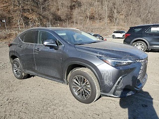 LEXUS NX 350 2023 LEXUS NX 350 2023