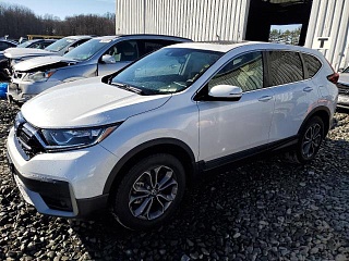 HONDA CR-V EXL 2022 HONDA CR-V EXL 2022