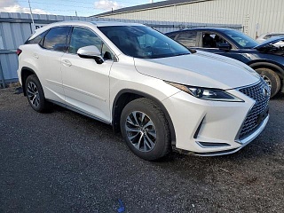 LEXUS RX 350 2020 LEXUS RX 350 2020